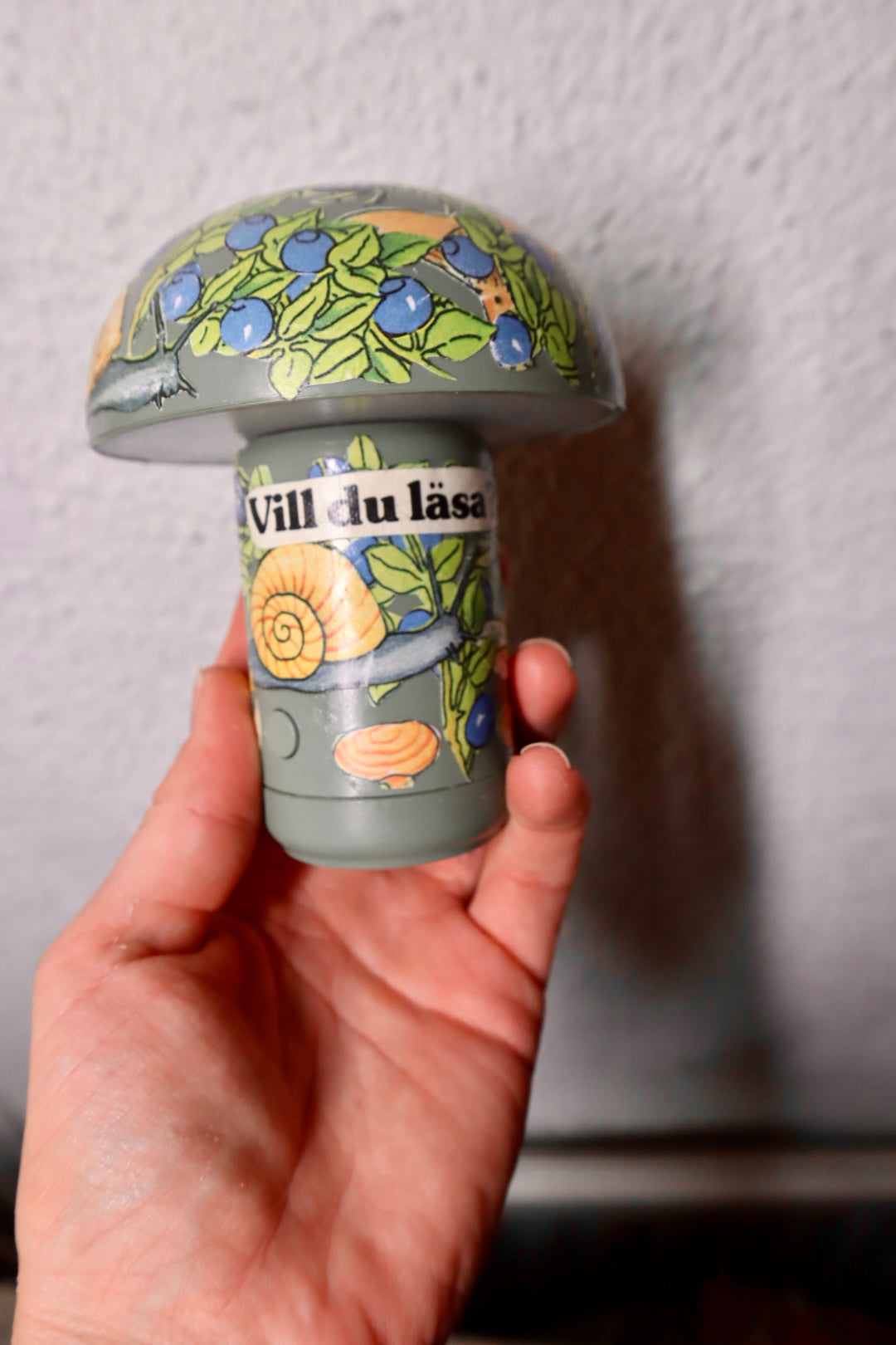 Svamparna i blåbärsskogen ~ spinello (3)