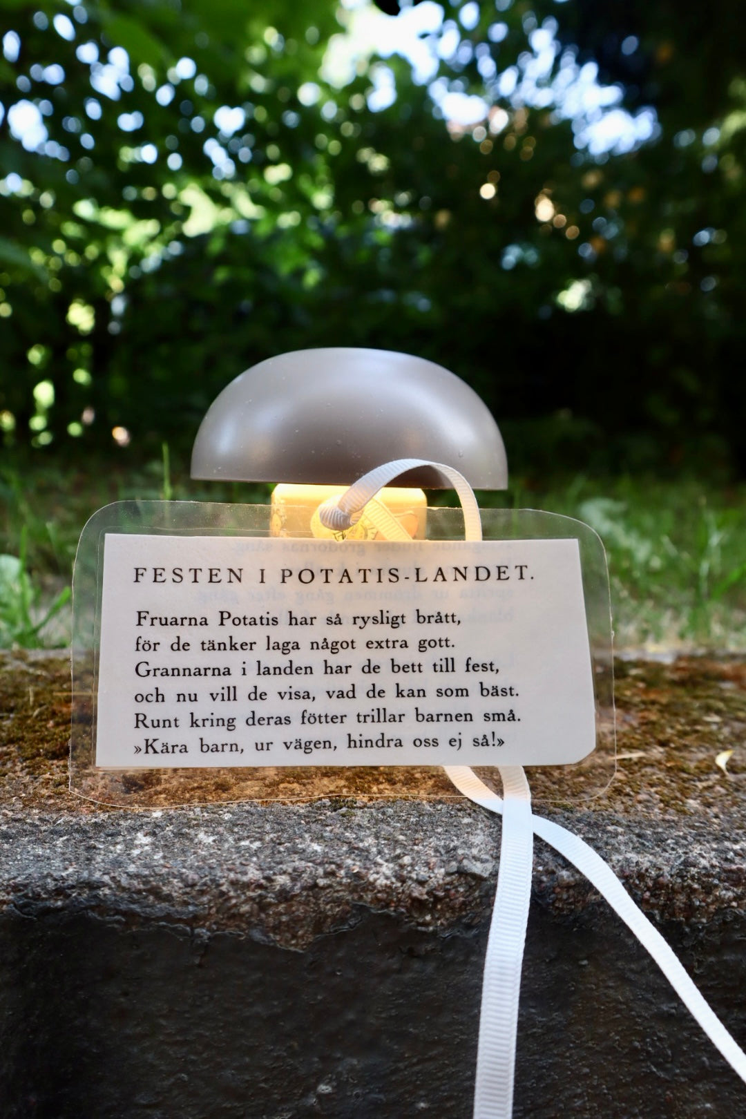 FESTEN I POTATISLANDET