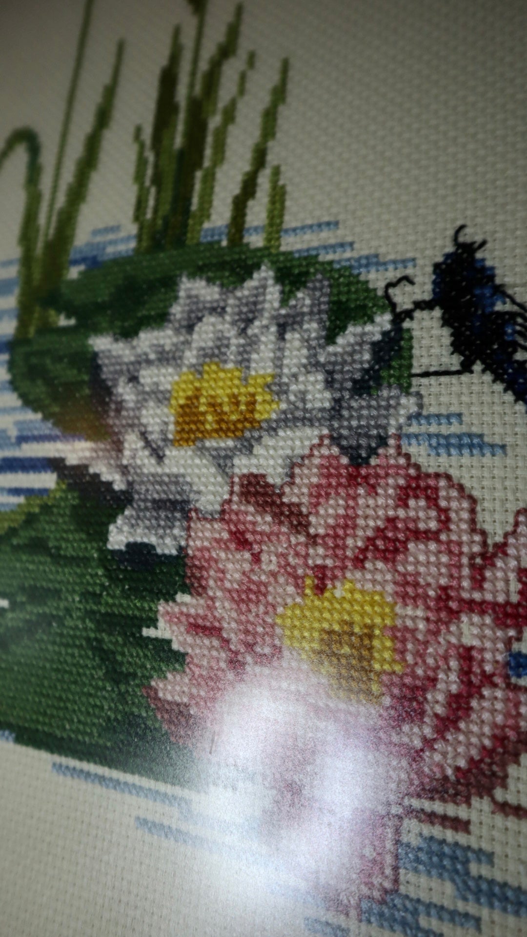 TAVLA, broderad