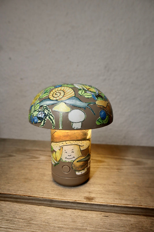 Svamparna i blåbärsskogen (2)
