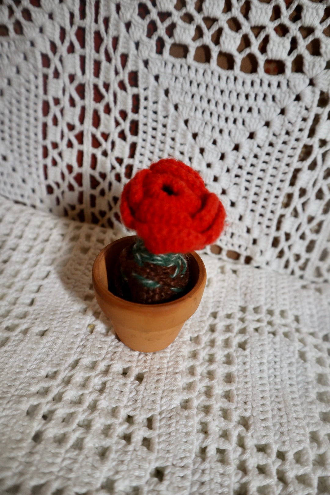 Sista rosen
