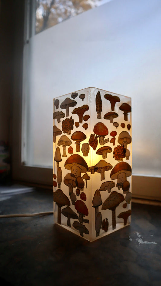 SVAMPARNA ~ lampa