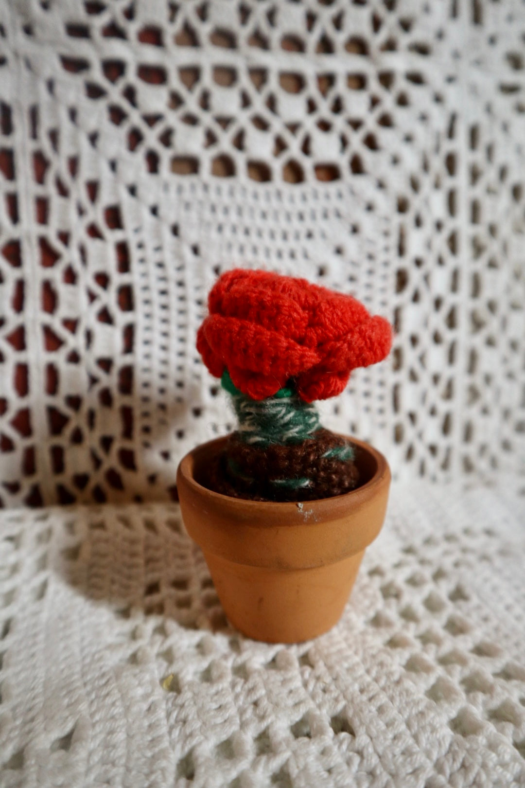 Sista rosen