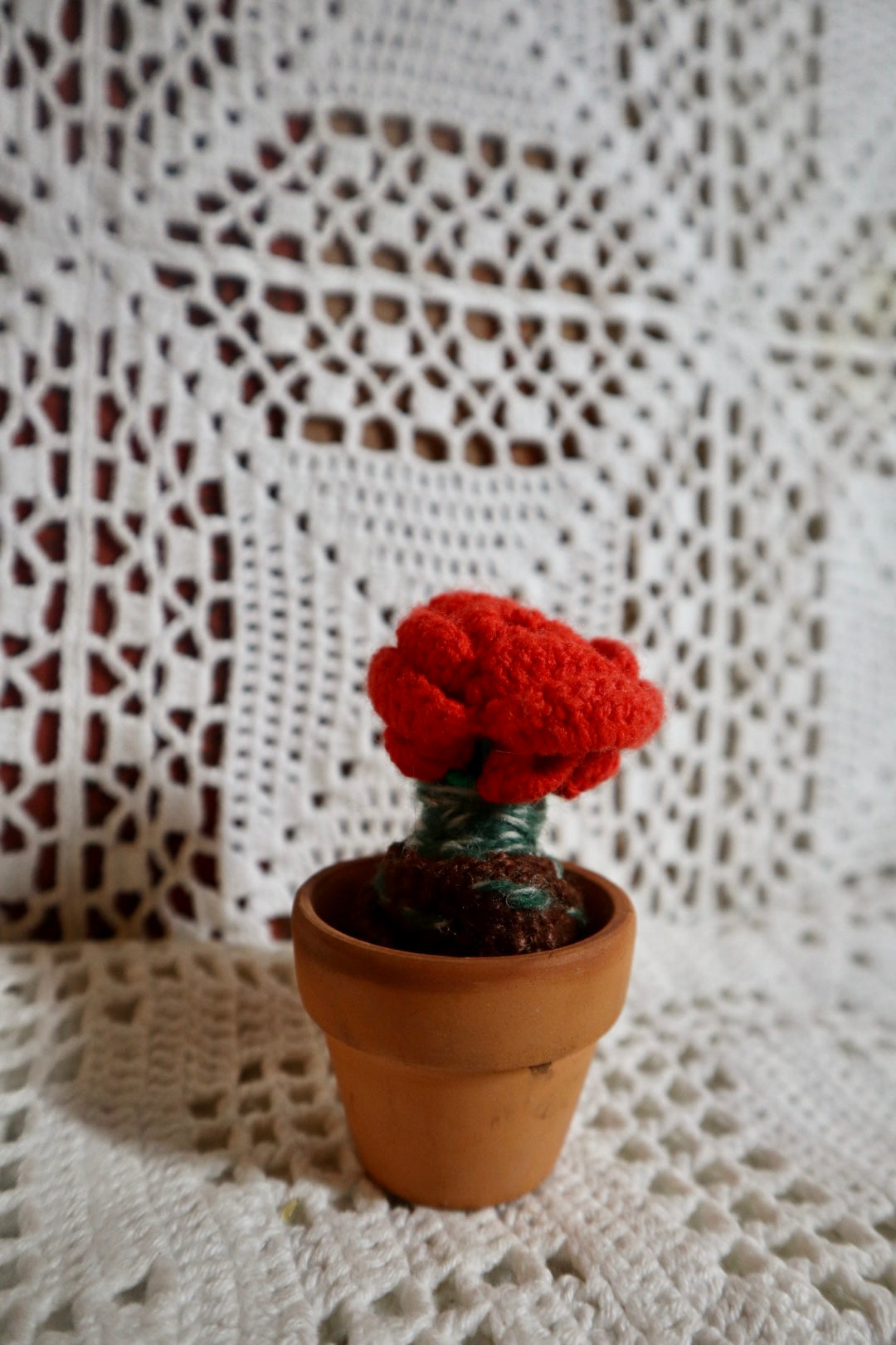 Sista rosen