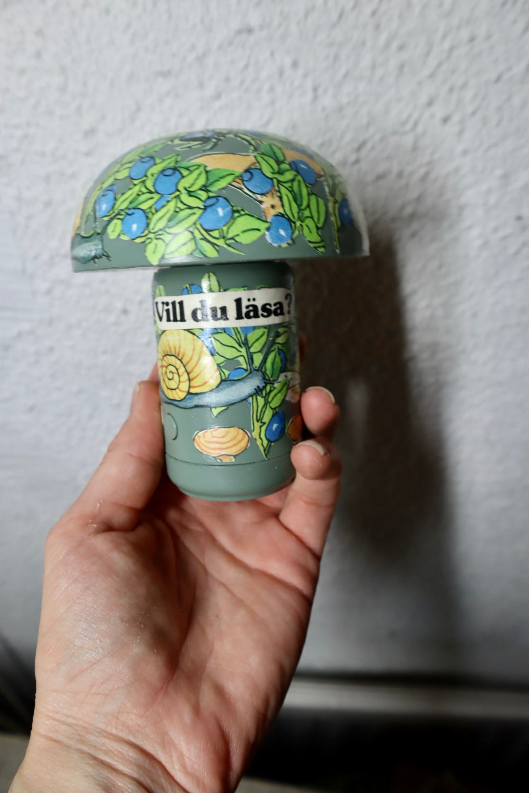 Svamparna i blåbärsskogen ~ spinello (3)