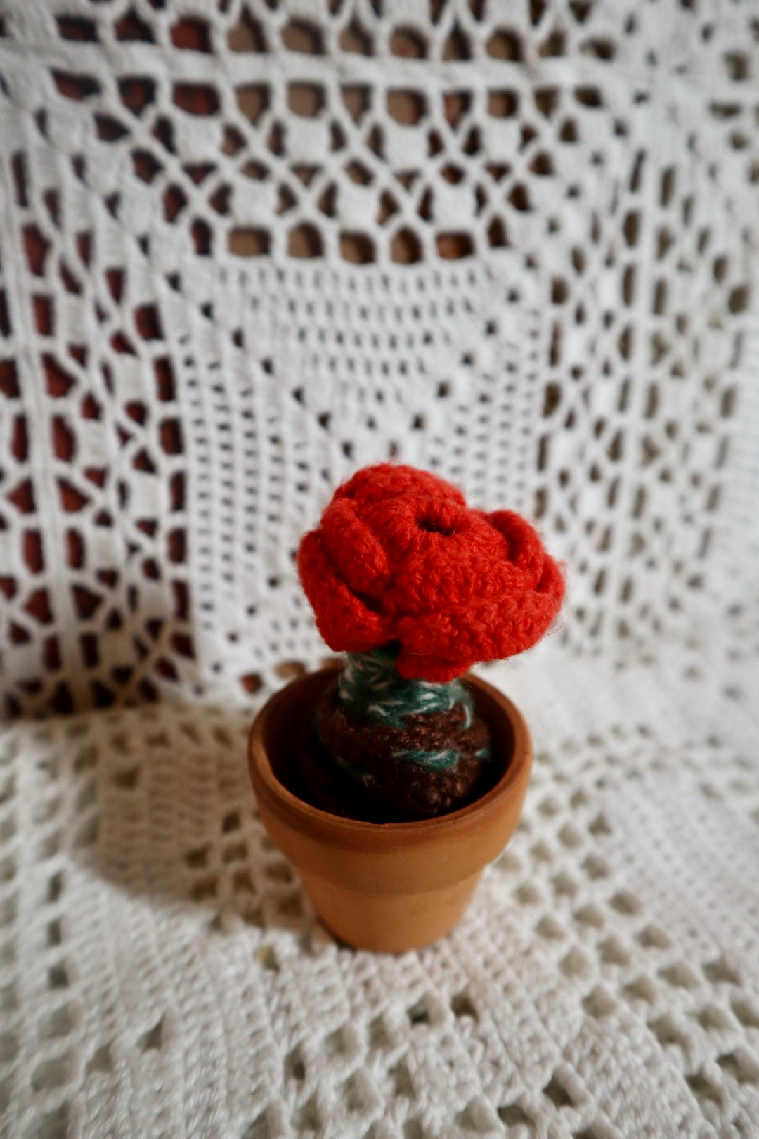 Sista rosen