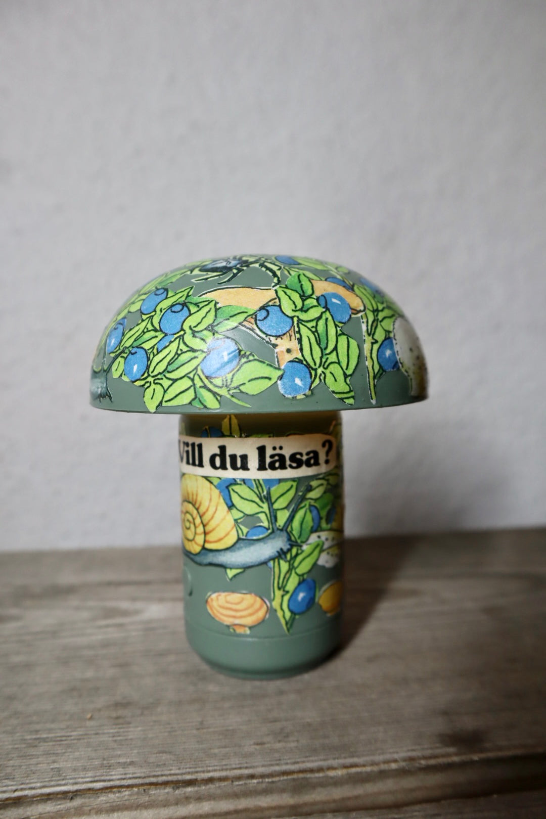 Svamparna i blåbärsskogen ~ spinello (3)