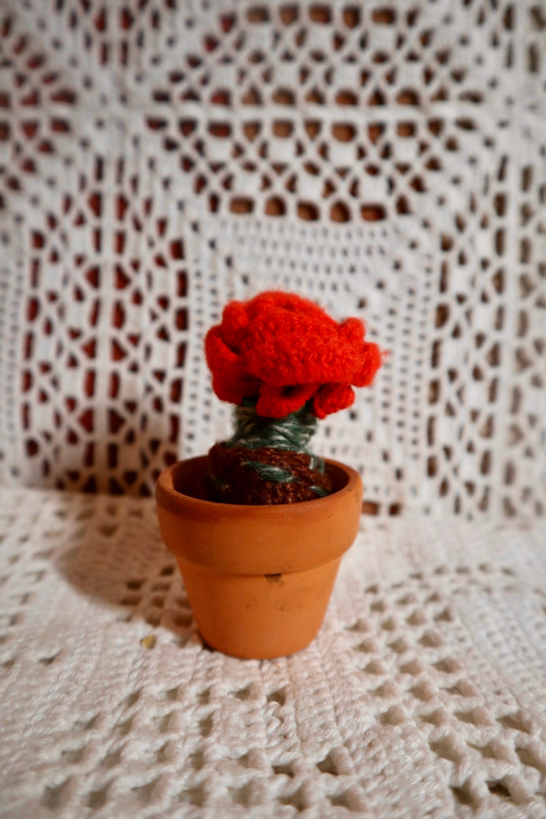 Sista rosen