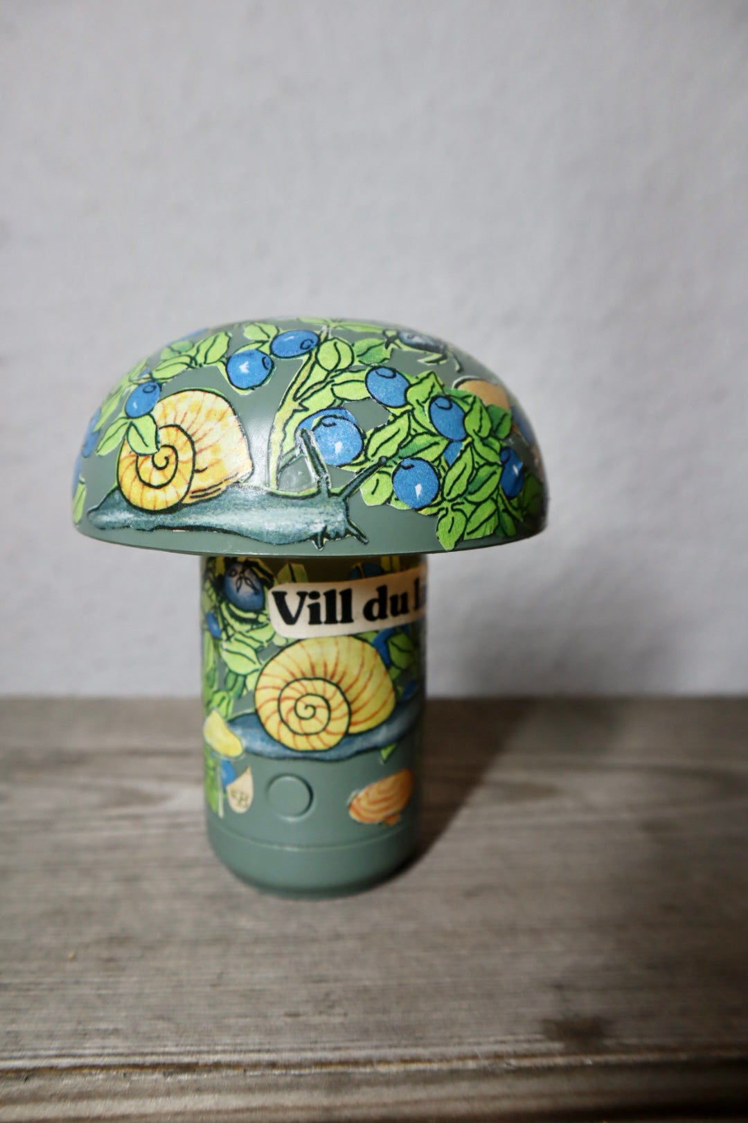 Svamparna i blåbärsskogen ~ spinello (3)