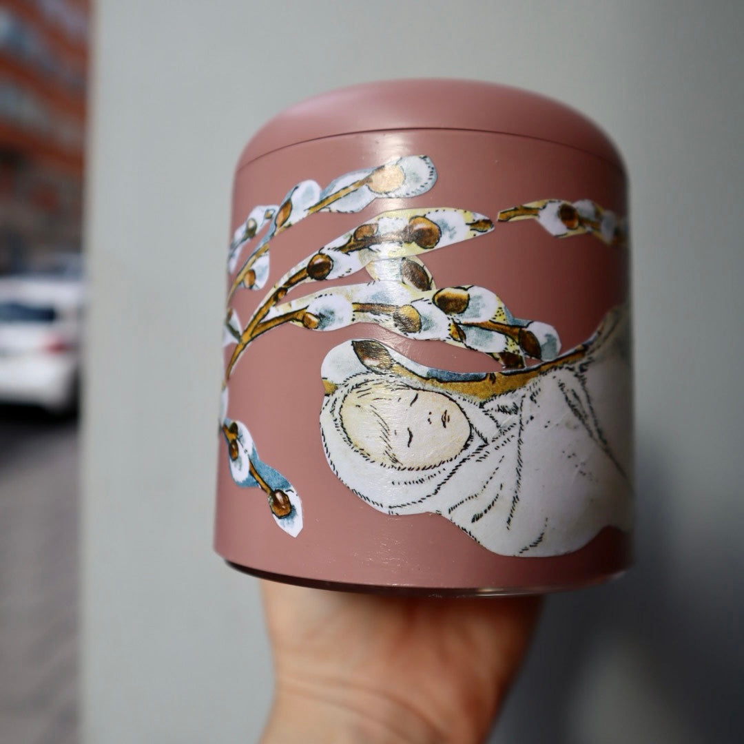 Visor ~ väckarklocka