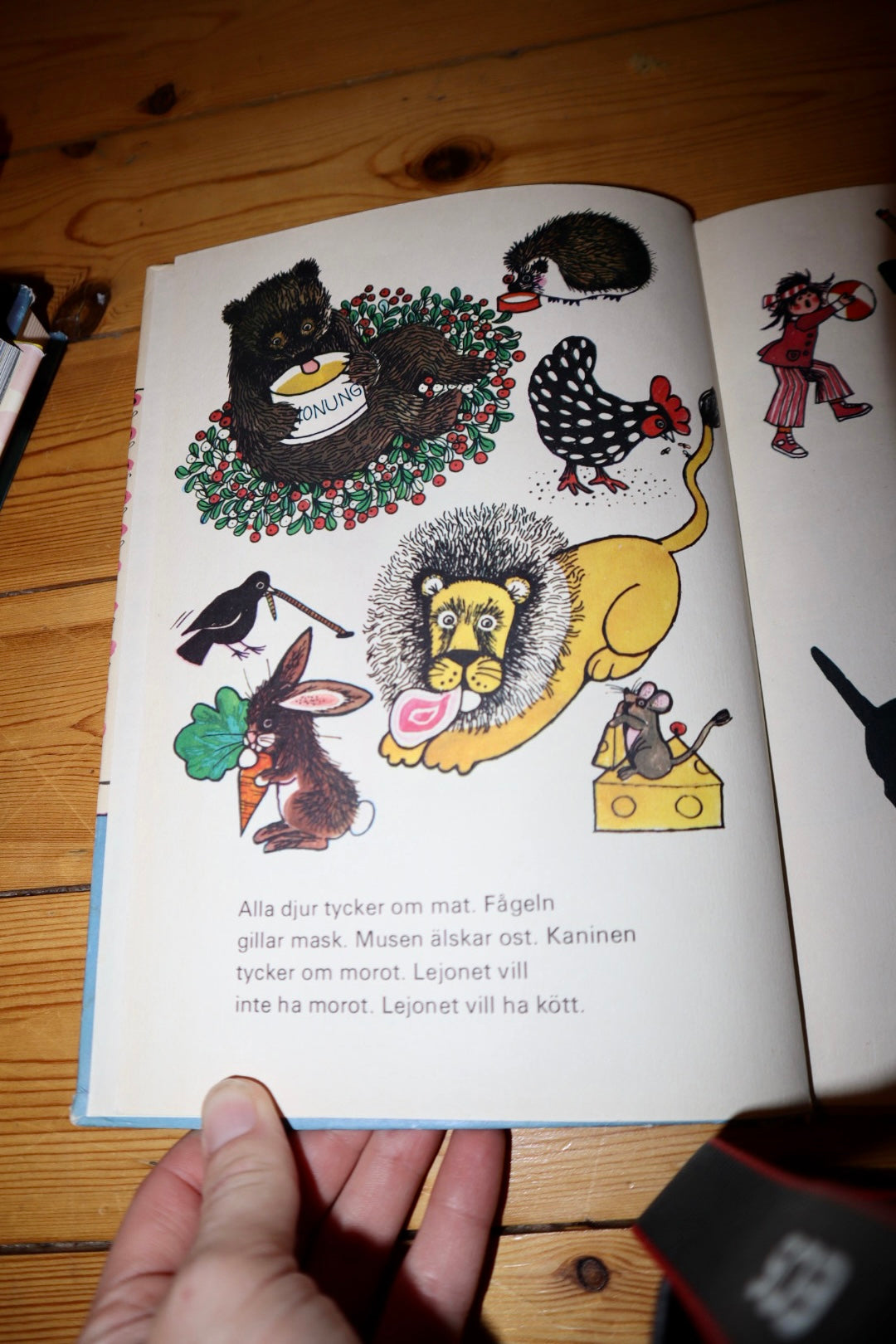 Äta dricka sova